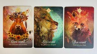 Who is Coming Toward You and Why - Pick a Card - Timeless Tarot