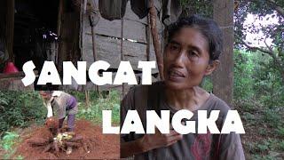 10 TAHUN LEBIH WANITA TINGGAL SENDIRIAN DI TENGAH HUTAN YANG KONON ANGKER HADAPI BERAGAM GANGGUAN