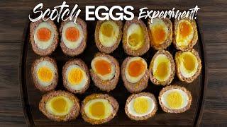 I cooked over 500 EGGS to make the PERFECT Scotch Egg