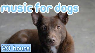 Music for Dogs   Calming Lullabies for Restless Dogs NEW 2023