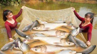 Harvesting A Lot Of Big Fish Goes To Market Sell - Cooking Fish  Phương Free Bushcraft