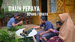 Living in the Village  gardening replacing traditional roofs making delicious food