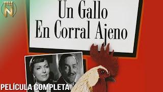 Un Gallo En Corral Ajeno  Tele N  Jorge Negrete