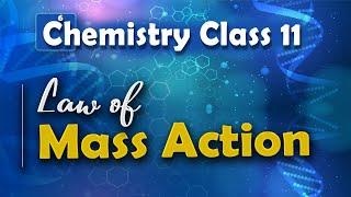 Law of Mass Action - Chemical Equilibrium - Chemistry Class 11