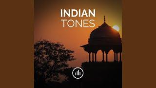 Indian Drone Tone in D