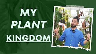  My Ultimate Plant Tour Summer 2024 Edition 