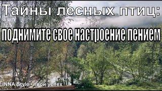 Тайны лесных птиц поднимите свое настроение пением