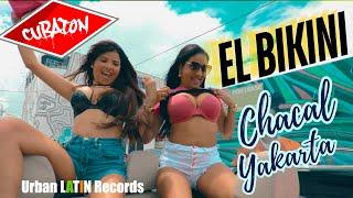 Chacal Y Yakarta  - El Bikini Official Video