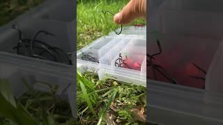 Building A BeginnerBudget Friendly Terminal Tackle Box 🪝#bass #fishing #tips #shorts #explore #fyp