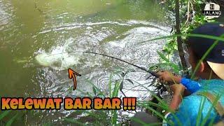 Lihatlah  Betapa Barbar nya Ikan Di Tempat Ini