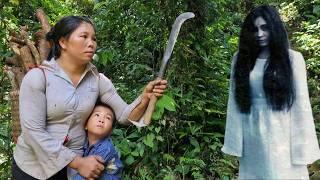 Single mothers in the forest are in danger - Harvesting blood-boosting plants for sale