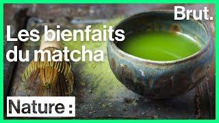 Les multiples bienfaits du matcha