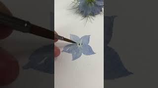 How to paint Nigella Flowers #watercolorpainting