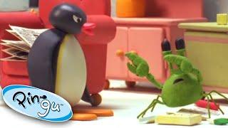 Pingu and the School Pet  Pingu Official  Cartoons for Kids