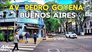 【4K】La AVENIDA MAS COTIZADA de CABALLITO - Avenida PEDRO GOYENA  Buenos Aires Walk