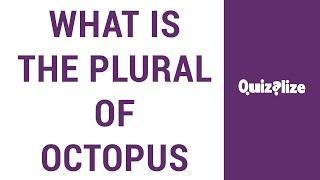 What is the plural of octopus?
