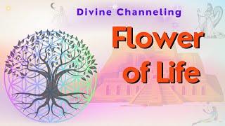 Flower Of Life Activation   Divine Channeling