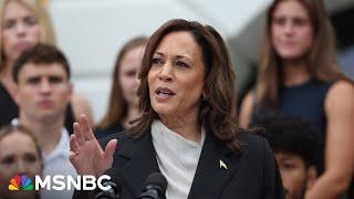 The Dem Dream Team How Harris’ candidacy is shaping the party’s strategy