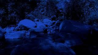 Magical Night Calming Music for Sleep and Meditation with a Dark Screen