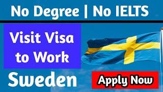 Sweden New Immigration Law Visit visa to Work Chance