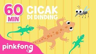 Cicak cicak di dinding  Lagu Anak Indonesia  Pinkfong Baby Shark