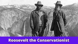 History Brief Roosevelt the Conservationist