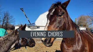 Barn Vlog 2023  Come do evening chores with me