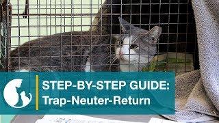 Step by Step Guide Trap-Neuter-Return