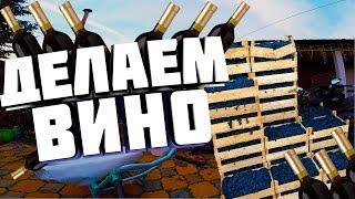 Делаем домашнее вино из темного винограда. Из жизни винокура#3