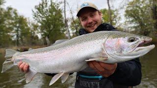 FLOAT FISHING for STEELHEAD  Bobber Down Steelhead Fishing in Michigan