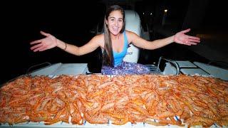 Netting THOUSANDS of GIANT SHRIMP Catch Clean Cook South Florida Shrimping