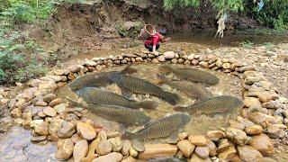 The boy arranged stones into a trap and caught many big fish in the trap.  wandering boy