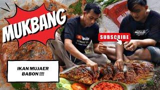 Mukbang ikan babon mujaer hasil perangkap penilar 