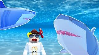 FIND the ANIMALS *How To Get The Megalodon* Roblox