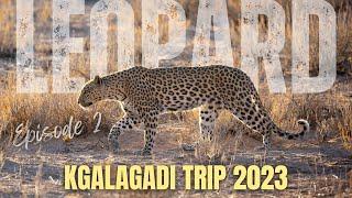 The best leopard sighting Ive ever had in the Kgalagadi    Episode 26