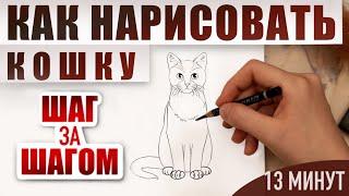 Как нарисовать кошку поэтапно карандашом  Обучающие видео-уроки рисования для начинающих.