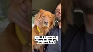 Growing old with your dog #goldenretriever #dogdad #flashback