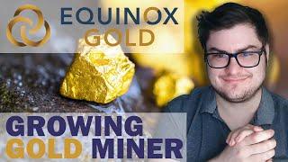 Gold Rush or Fools Gold?  Your Stock Our Take - Equinox Gold EQXTSX