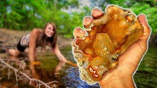 NEW DISCOVERY Finding and CUTTING Incredible Alligator Agates from a Florida Swamp on a Rock Saw