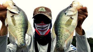 FALL CRAPPIE FISHING How to locate and catch fall crappie