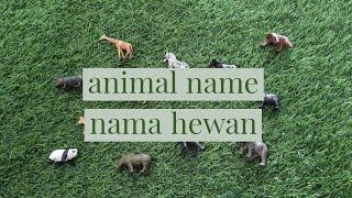 animal name  nama hewan