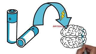 Physiological psychology