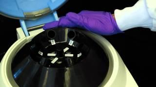 How to Use a Centrifuge