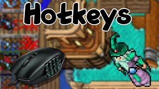 AS HOTKEYS DE UM ROYAL PALADIN LEVEL 900