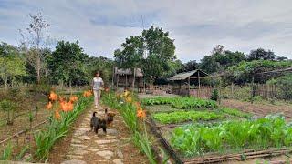 Full Video 125 Days of Farm Life Gardening Farming Harvesting Cooking Animal Care  Sơn Thôn