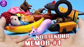 Коллекция - всех МЕМОВ #1  Мышка Сосиска Крыска Ириска Кошка Картошка Лепка шоу