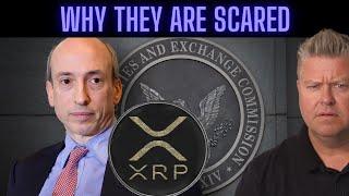 Latest XRP Ripple News Today SEC Shreds Ultimatum