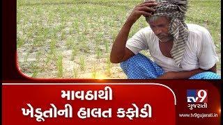 Farmers worried over unseasonal rains in parts of Gujarat TV9GujaratiNews