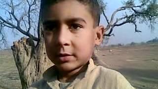 pashton telented kids peoter in kpk