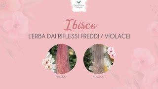 Ibisco Capelli Lerba riflessante per Capelli Viola o Rosso Prugna